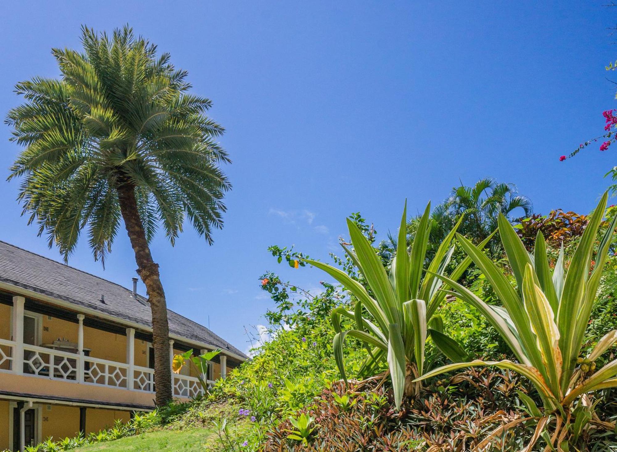 Bodyholiday St Lucia Gros Islet Eksteriør billede
